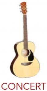 concert-guitar