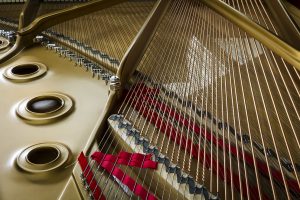 shutterstock_115109230