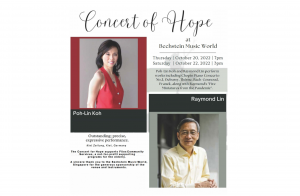 Double Bechstein D282 Grand Pianos at A Concert of Hope by Poh-Lin Koh and Raymond Lin